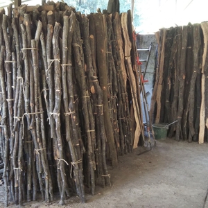 紀州備長炭 馬目荒上 15kg【ybin003】