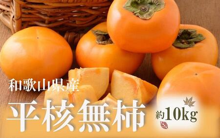 ◆先行予約◆和歌山県産 平核無柿＜ご家庭用＞約10kg【2024年10月上旬以降発送】【MG3】