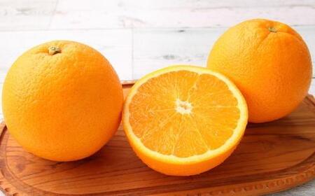 和歌山県有田産バレンシアオレンジ約5kg（サイズおまかせ）★2024年６月下旬より順次発送予定【TM52】
