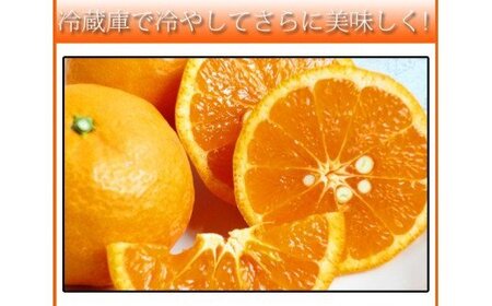 初夏のみかん なつみ3kg【2025年4月中旬以降発送】【先行予約】【UT56】【uot753A】
