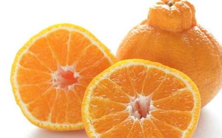 【濃厚】有田産不知火約4kg(2L~5Lサイズ混合)★2025年2月中旬頃より順次発送【TM38】【tec931A】