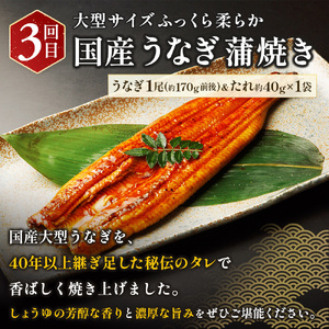 定期便 魚 全3回 /魚鶴厳選！人気のお魚集合定期便（さば・銀鮭・うなぎ）※離島配送不可【tkb307】