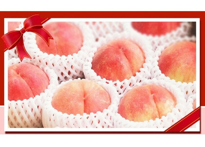 紀州和歌山産の 桃 15玉 化粧箱入 【2026年6月下旬より順次発送】【UT97】【uot780A】