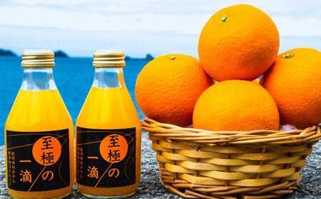 ［無添加］田村みかんの新鮮100％ジュース「至極の一滴」180ml×15本入り［TM21］