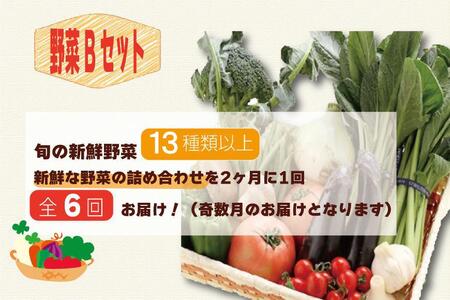 野菜セット【定期便 / 全6回：奇数月お届け】旬の新鮮野菜B（たっぷり13種類以上）