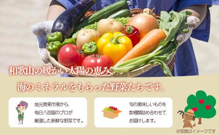 野菜セット【毎月お届け全12回】旬の新鮮野菜Ａ（たっぷり13種類以上）印南町 人気
