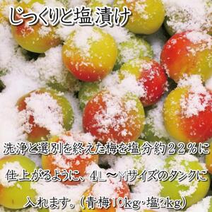 梅干 いなみの里梅園　白干梅1.5kg　塩分約15％【和歌山産】紀州南高梅　印南町