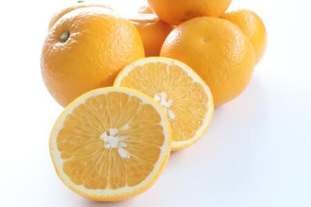 【訳あり・ご家庭用】はっさく(八朔)約10kg 和歌山産