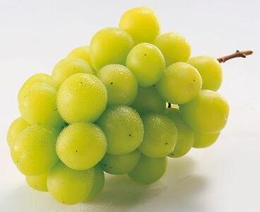 和歌山県産 シャインマスカット 2房入り〈秀品〉［2026年8月中旬以降出荷］［MG23］