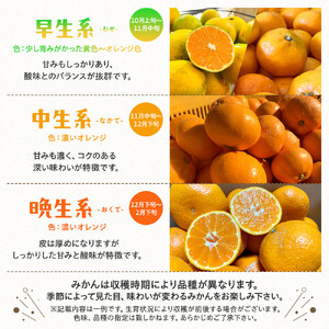 ［先行予約］ご家庭用 完熟 有田みかん 7.5kg［2026年11月発送予定］訳あり 農家直送［MS4-1］