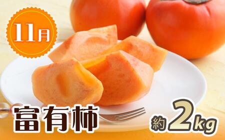 紀州和歌山産 旬にお届け!フルーツセット(不知火・桃・富有柿)【UT59】