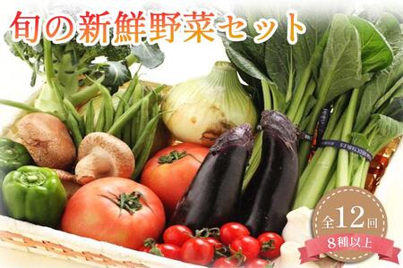 定期便 旬の新鮮野菜詰め合わせ 8種以上 全12回【野菜セット】