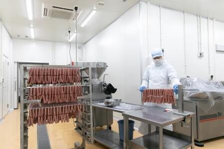 わかやまジビエソーセージ 猪・鹿 10Pセット【MT17】