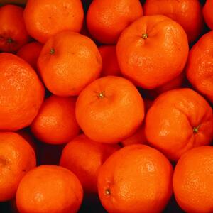 ［先行予約］家庭用 ポンカン5kg+250g（傷み補償分）［IKE24］