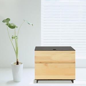 タツクラフト ひのき張り マスク収納ボックス 2段 【Tk273】