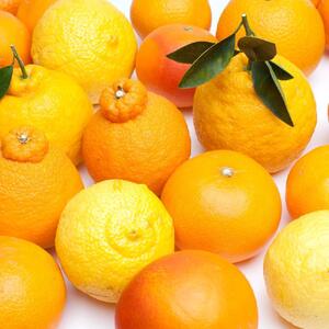 ［先行予約］厳選 柑橘詰合せ1kg+250g（傷み補償分）［有田の春みかん詰め合わせ・フルーツ詰め合せ・オレンジつめあわせ］［光センサー選別］［IKE157］