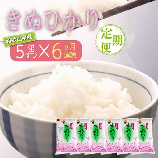 【お米の定期便／全6回】和歌山県産 米 キヌヒカリ30kg (5kg×6) 2025年産 ［SL21］