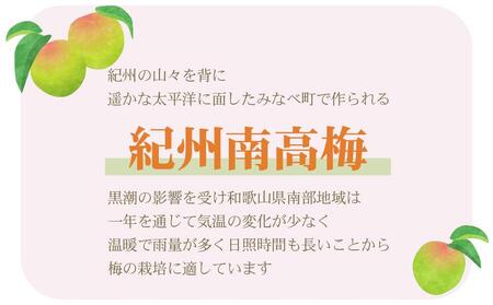 訳あり 梅干し ご家庭用 紀州南高梅 はちみつ漬つぶれ梅 1.2kg (600g×2パック)