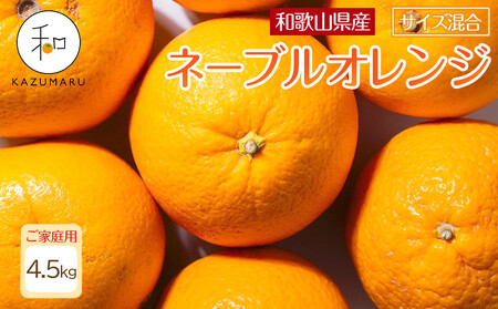 家庭用 森本農園の手選別ネーブルオレンジ 4.5kg 和歌山県産 サイズ混合 ［北海道・沖縄・離島配送不可］［RN17］［2026年1月上旬から順次発送］★