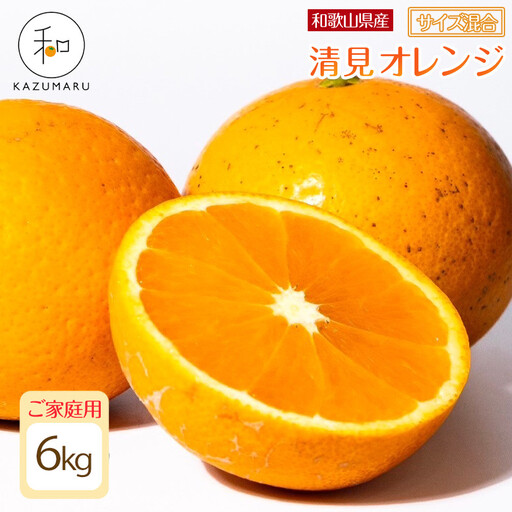 家庭用 森本農園の手選別 清見オレンジ 6kg 和歌山県産 サイズ混合 ［北海道・沖縄・離島配送不可］［RN38］［2026年2月上旬から5月中旬頃順次発送予定］