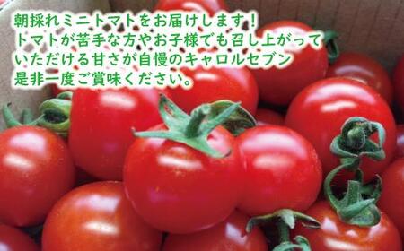 高糖度完熟ミニトマト 約2kg 【キャロルセブン】