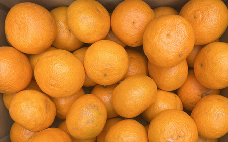 【春みかん】和歌山有田産 カラマンダリン 約5kg サイズおまかせ ★2026年４月より順次発送 ［TM209w］