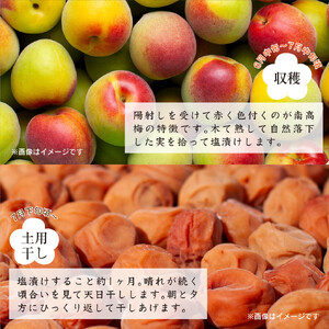 訳あり　紀州南高梅つぶれ梅 はちみつ漬 400g×4パック 塩分8% [AJ7]