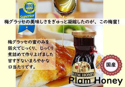 ふみこ農園　梅グラッセ&梅蜜セット（大）［FN1］