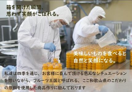 ふみこ農園　梅グラッセ&梅蜜セット（大）［FN1］