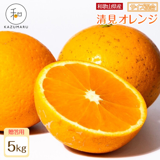 贈答用 森本農園の手選別 厳選清見オレンジ 約5kg 和歌山県産 サイズ混合 ［北海道・沖縄・離島配送不可］［2026年2月上旬から5月中旬頃順次発送予定］［RN89］