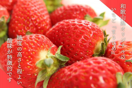 ［先行予約］いちご（まりひめ）2パック 和歌山生まれのイチゴ