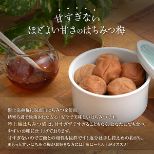 紀州南高梅 徳用 はちみつ梅 1.5kg×1箱 ［Kn7］