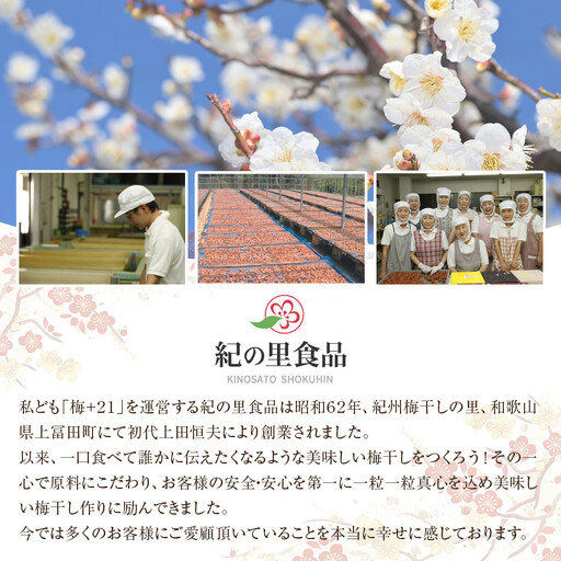 紀州南高梅 りんご梅 450g［Kn19］