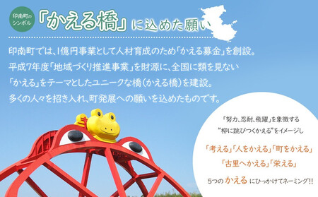 ペットスタジオPhopet 撮影利用券3000円分相当