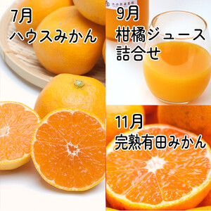 家庭用 柑橘定期便S（奇数月）全6回 ［IKE301］