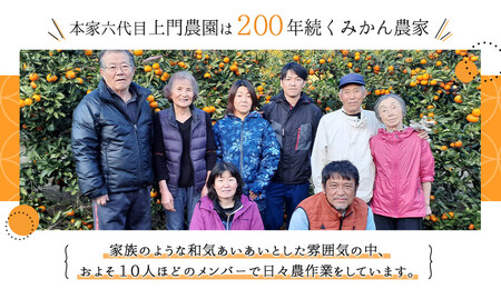 梅干し 300g(しそ入り)紀州南高梅100%