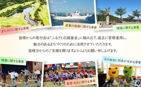 ［徳用梅干し］梅干し800g（しそ入り）紀州南高梅100%