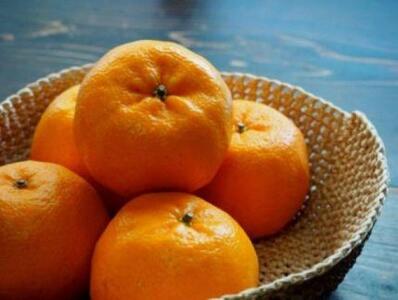 濃厚な甘さ！ポンカン5kg　2026年1月下旬以降順次発送　農園直送　