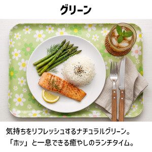 TATSU-CRAFT マグネットトレー SS 21.5cm マーチ GR グリーン すべり止め付き ［Tk1061］