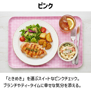 TATSU-CRAFT マグネットトレー M 33cm チェック PK ピンク すべり止め付き ［Tk1084］