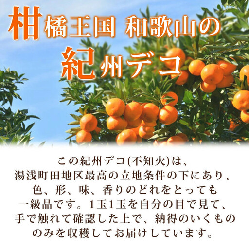 高級ブランド田村の完熟紀州デコ（不知火）約8kg
