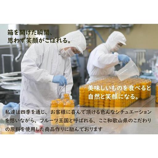 ふみこ農園 わかやまスムージー6本セット ［FN7］