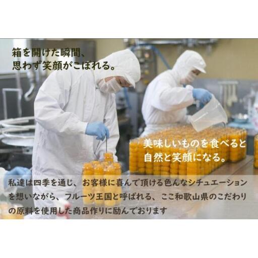 ふみこ農園 フルーツジュレ 8本セット ［FN10］