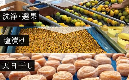 紀州南高梅使用　はちみつうす塩味完熟梅干し 無選別1kg［TM144］
