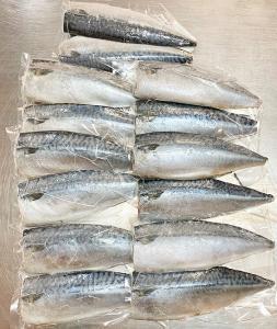 塩さばフィレ１４枚入(真空パック入)