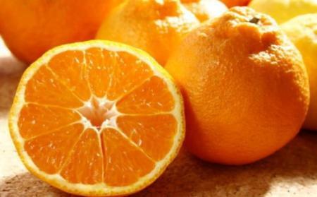 ［濃厚］有田の不知火約5kg（18～28玉）★2026年2月中旬頃より順次発送［TM35w］