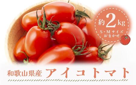 【1月出荷分】和歌山産ミニトマト「アイコトマト」約2kg（S・Mサイズおまかせ）【TM109】