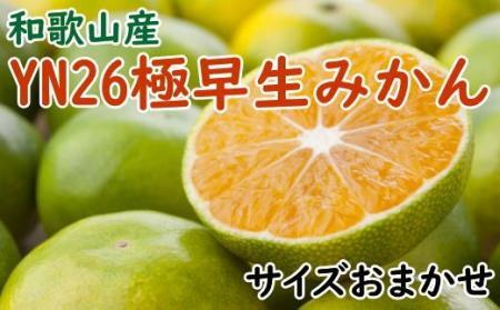 【産直】YN26極早生みかん約5kg（2S～Mサイズおまかせ）★2024年9月中旬頃より順次発送【TM13】