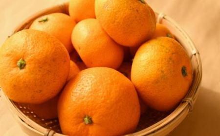 [訳あり]和歌山有田みかん約10kg(S～Lサイズいずれかお届け）★2026年11月中旬頃より順次発送［TM82］