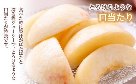 和歌山県産 白鳳 桃 5～8玉入り 秀品 先行予約［2026年6月下旬以降発送］［MG6］